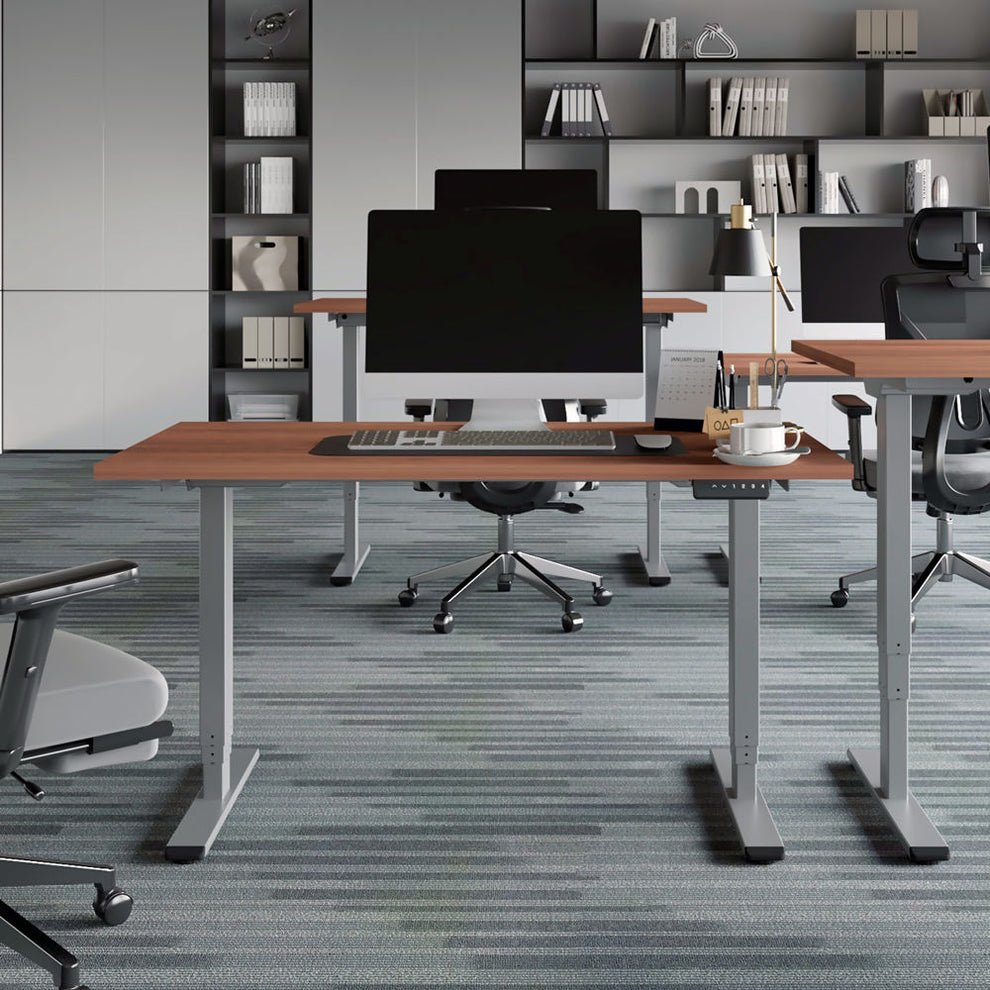 Freedom Plus Electric Height Adjustable Standing Desk – Ergoasis