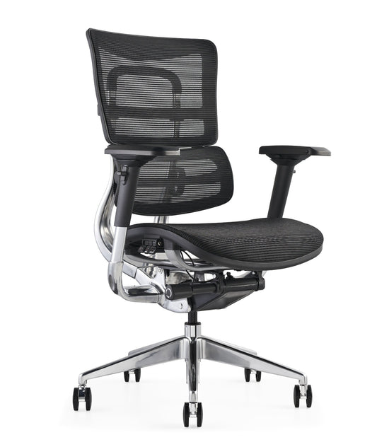 i29 Ergonomic Office Chair - 24 Hours, Mesh Back, Mesh Seat